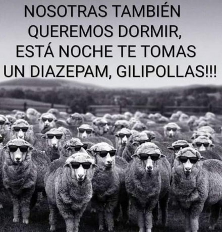 Con lo dado que somos los españoles a los chistes y que en este foro no se vean  :shock:  :shock:  :shock: 80