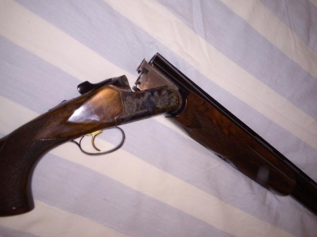 Escopeta de tiro RETIRO DE LA VENTA 00