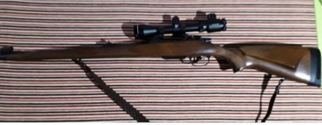 Rifle CZ 550 stutzen,cal.308 w.Impecable,monturas apel y cargador adicional.visor ya no lo tengo. 900 00