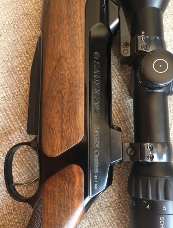 Cambio rifle Saueer 202 custom (serie limitada),tiene algún pequeño roce del uso, con bases Apel y cañón 12