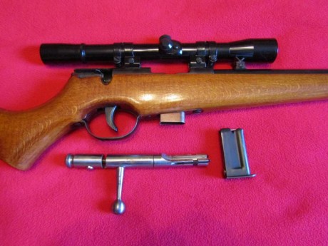 Hola. Vendo carabina Santa Bárbara modelo 66, calibre 22, con visor y cargador de 5 balas, SIN USAR. Perfecta 02