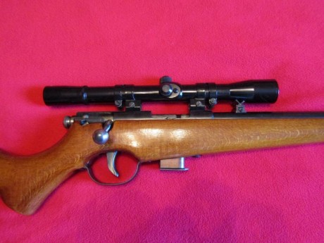 Hola. Vendo carabina Santa Bárbara modelo 66, calibre 22, con visor y cargador de 5 balas, SIN USAR. Perfecta 01