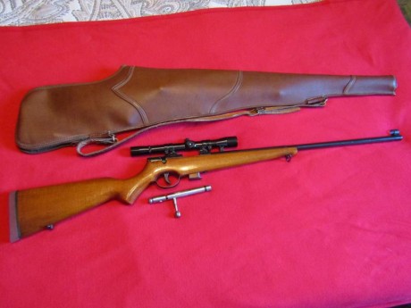 Hola. Vendo carabina Santa Bárbara modelo 66, calibre 22, con visor y cargador de 5 balas, SIN USAR. Perfecta 00
