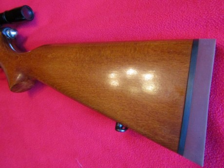 Hola. Vendo carabina Santa Bárbara modelo 66, calibre 22, con visor y cargador de 5 balas, SIN USAR. Perfecta 11