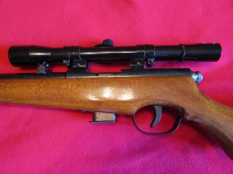 Hola. Vendo carabina Santa Bárbara modelo 66, calibre 22, con visor y cargador de 5 balas, SIN USAR. Perfecta 22