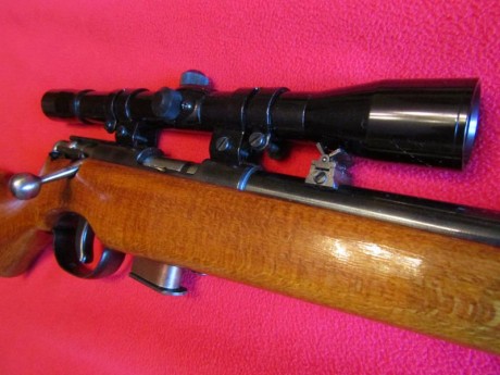 Hola. Vendo carabina Santa Bárbara modelo 66, calibre 22, con visor y cargador de 5 balas, SIN USAR. Perfecta 21