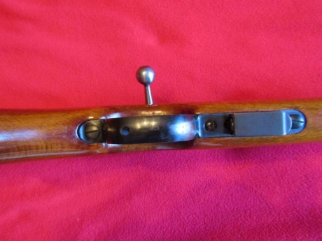Hola. Vendo carabina Santa Bárbara modelo 66, calibre 22, con visor y cargador de 5 balas, SIN USAR. Perfecta 20