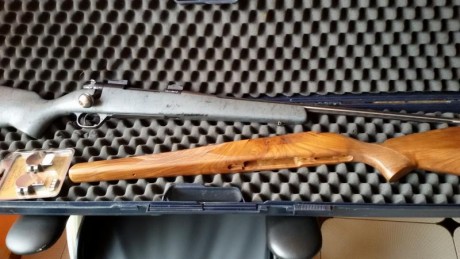 Vendo rifle Weatherby Mark V UL. cal. 270W.
Cañón inox acanalado de 61 cm.
Peso 2.600 gr. sin visor.
Disparador 10