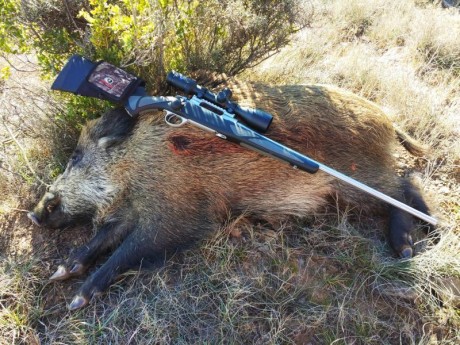 Hola buenas, acabo de comprarme un Browning x-bolt en calibre 270wsm y me gustaría saber qué os parece 50