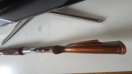 Se vende rifle palanquero Tigre de coleccion en calibre 44-40, es un rifle personañizado y costumizado 12