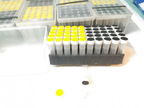 Hola:
Necesito hacer sitio en el armario. Vendo estas cajas con tubos monodosis de cuando tiraba cortas. 00