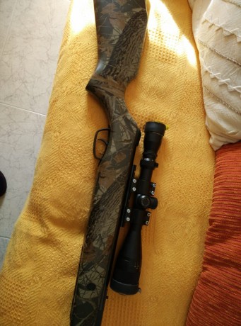 Hola, compañeros pongo a la venta está carabina es una gamo Hunter fue mi primera carabina y me deshago 10