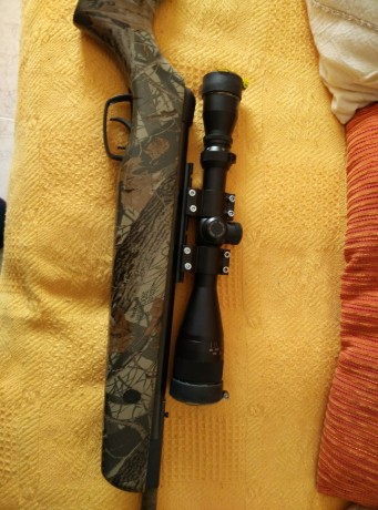 Hola, compañeros pongo a la venta está carabina es una gamo Hunter fue mi primera carabina y me deshago 22