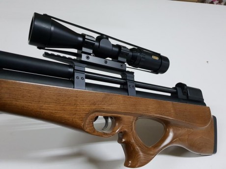 visor Tasco Titan 1.5-6x42.Anillas monopieza KONUS 30mm y 1" - carril Weaver y 11mm.
200€
todo el 02