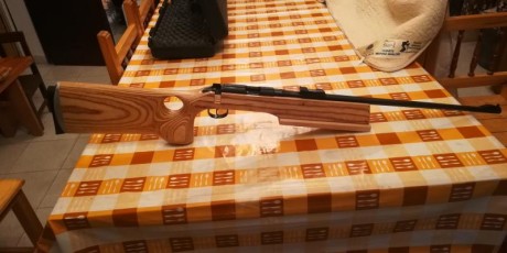 Vendo carabina brno 2E, en muy buen estado, con dos culatas, una de bench-rest y la original
precio. 530 01