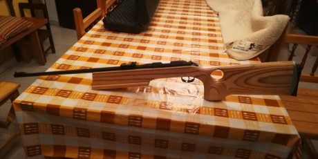 Vendo carabina brno 2E, en muy buen estado, con dos culatas, una de bench-rest y la original
precio. 530 00