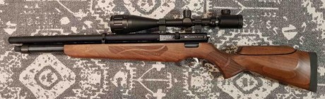 Hola Vendo Carabina Cometa Orion calibre 5,5 con visor 6-24x50. Solo la he utilizado un dia para centrar 01