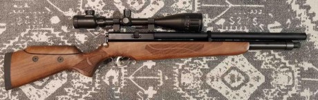 Hola Vendo Carabina Cometa Orion calibre 5,5 con visor 6-24x50. Solo la he utilizado un dia para centrar 00