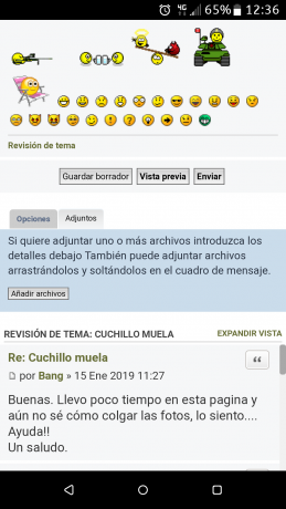 REHALERO. Puño asta de ciervo con roseta. Defensa de latón. Hoja acero . Funda de cuero marrón.

- Mango 70