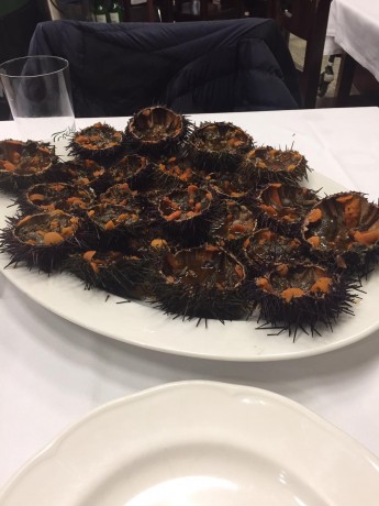 Hoy para comer acelgas hervidas y chuletón de vaca gallega vieja con seis semanas de maduración en cámara 10