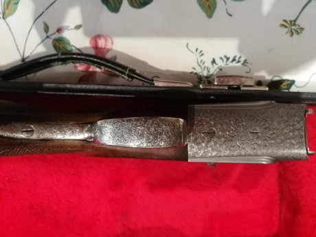 Vendo escopeta de tiro de Pichón de la marca Italiana Gamba Gardone. Cañones yuxtapuestos calibre 12/70 11