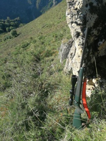 Vendo blaser r93 profesional en calibre 270wsm con monturas y visor Leica er 2-10x50 no tiene una caja 00