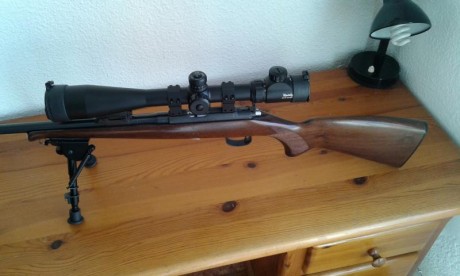 Hola vendo carabina CZ-22  modelo 452, con visor 10-40x50, y bipode, todo muy nuevo  la carabina con muy 02