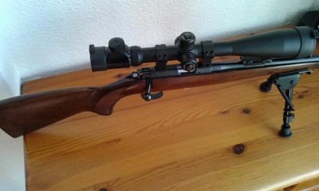 Hola vendo carabina CZ-22  modelo 452, con visor 10-40x50, y bipode, todo muy nuevo  la carabina con muy 00