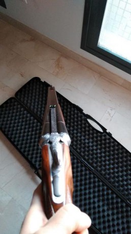 Hola. Vendo Express Sabatti Safari en calibre 9.3x74 R. Lo tengo un año y esta nuevo (No tiene ni arañazos 50