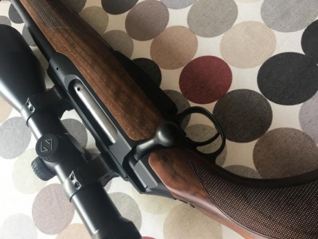 Se vende Sauer 202 new classic en calibre 300 win mag impoluto con 2 cargadores. Gatillo regulable y tambien 21