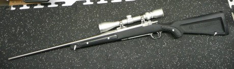 Hola ha todos. Pues en mi afán de renenar el hueco del armero quiero comprar 1 rifle de cerrojo sintético 110