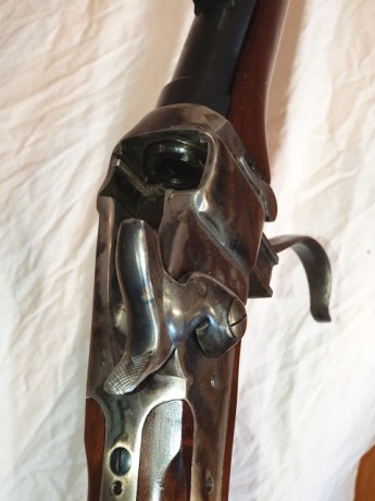 Hola, en venta rifle SHARPS IAB 45 70 cartucho metalico
Precio 700eur
Actualmente guiado en AE
Esta en 00