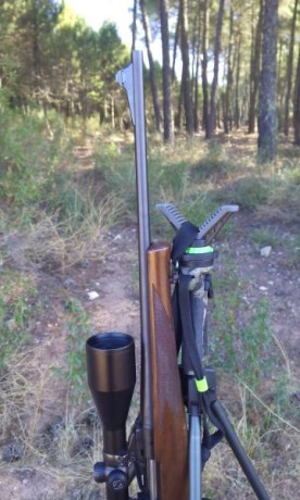 Vendo Remington Seven de acción corta.
El rifle no ha pegado más de 150tiros en su historia, siempre ha 01