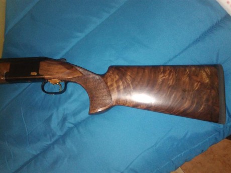 Buenas tardes amigos:

Quiero cambiar de escopeta y me surge la duda entre estas dos, la Browning 725 02