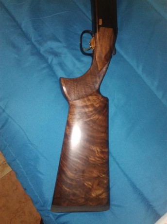 Buenas tardes amigos:

Quiero cambiar de escopeta y me surge la duda entre estas dos, la Browning 725 01