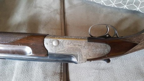 Hola.queria saber si alguien me puede ayudar. Tengo una escopeta superpuesta aya ,cal 12,monogatillo selectiva 01