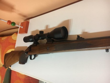 Se vende Rifle Sako 75 en calibre 7mm rm , junto con visor meopta r1 y monturas . Perfecto Estado del 02