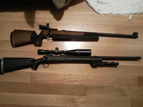 Hola
Hace algunos años que tengo dicha carabina, se la compré a un colega que no la usaba y yo la he usado 62