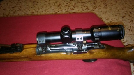 De nuevo en venta magnífico Carl Gustaf calibre 6.50x55, provisto de visor de 4 aumentos y correa original. 02