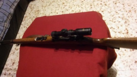 De nuevo en venta magnífico Carl Gustaf calibre 6.50x55, provisto de visor de 4 aumentos y correa original. 00