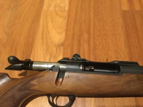 Bueno como ya comenté en la presentación estoy pensando en adquirir mi primer rifle, llevo meses dando 161