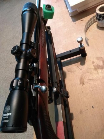 Pues eso un compañero del club vende su carabina TOZ del 22 LR en perfecto estado como se puede apreciar 10
