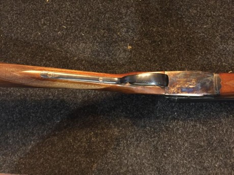 Vendo escopeta paralela marca I. Ugartechea, como nueva. Solo se estrenó y se guardó hasta hoy.
Con expulsores, 01