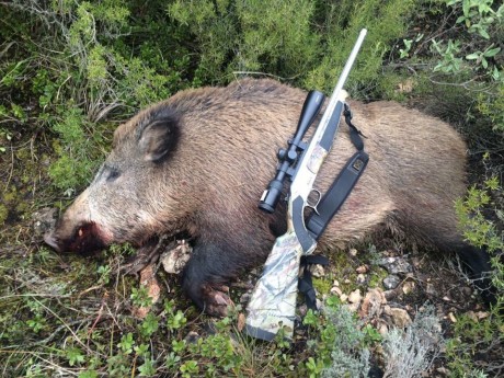 Cambiaría Bergara Apex camo en 308w. Monotiro con cañón acanalado y con rosca homologada.Precioso
Con 01