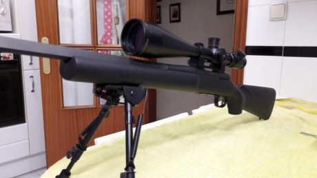 Vendo por exceso de armas, pero sobre todo por no tener posibilidad de utilizar adecuadamente:
Excepcional 112