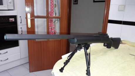 Vendo por exceso de armas, pero sobre todo por no tener posibilidad de utilizar adecuadamente:
Excepcional 110