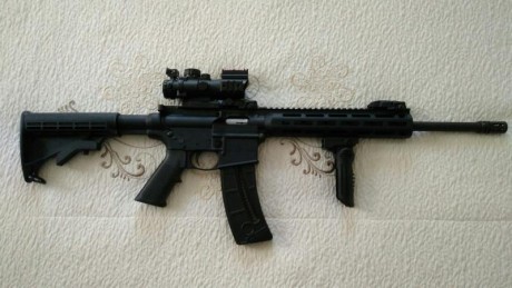 Vendo Carabina semiautomática Smith & Wesson M&P15-22 Sport, prácticamente nueva. He tirado 50 02