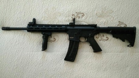Vendo Carabina semiautomática Smith & Wesson M&P15-22 Sport, prácticamente nueva. He tirado 50 01