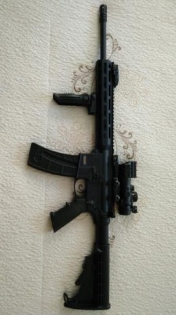 Vendo Carabina semiautomática Smith & Wesson M&P15-22 Sport, prácticamente nueva. He tirado 50 00