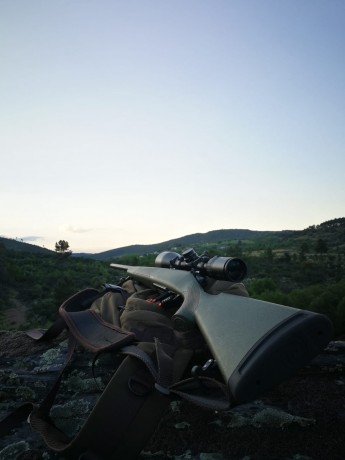Un buen amigo me ha pedido anuncie su Bergara B14 270 win, sintético verde. Es un poco caprichoso, y ya 02